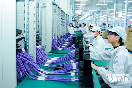 [Infographic] 8 tháng đầu năm, công nghiệp Nghệ An tăng trưởng hơn 21%