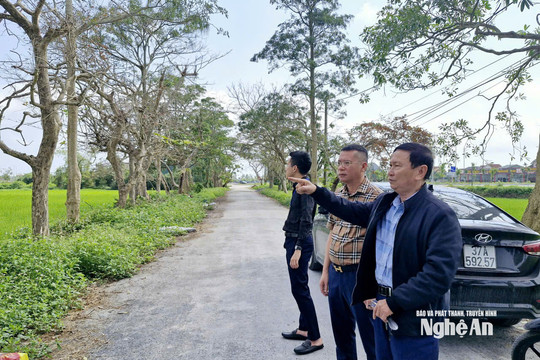 Thanh tra dự án của Công ty CP Golf biển Cửa Lò ở phường Vinh Phú