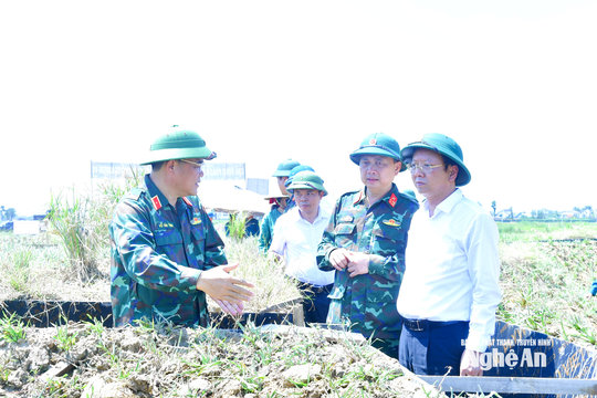 Kiểm tra công tác chuẩn bị thực binh vòm phòng không tại Nghệ An