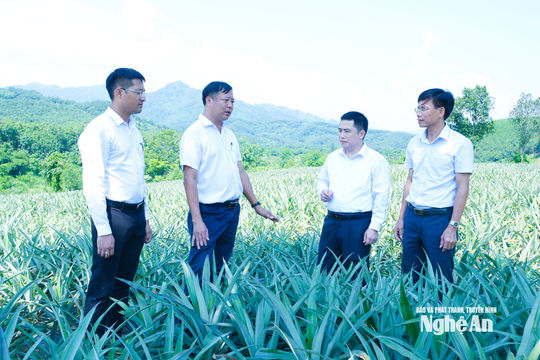 Khi hiệu quả công việc trở thành thước đo năng lực lãnh đạo