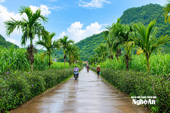 Thời tiết Nghệ An ngày 10/9: Trời nhiều mây, có mưa vừa đến mưa to và dông