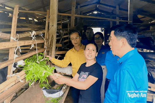 Ấm áp hành trình hỗ trợ sinh kế cho người lao động