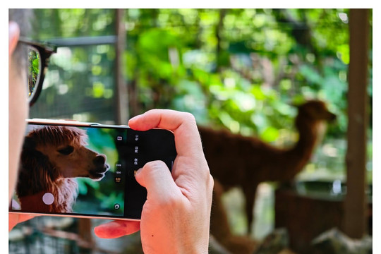 Công nghệ camera trên HONOR Magic 9 Pro Max: Đôi cảm biến 200MP và khả năng siêu zoom 1000mm