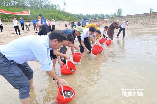 Giải pháp để Nghệ An tái tạo nguồn lợi thủy sản hiệu quả, bền vững