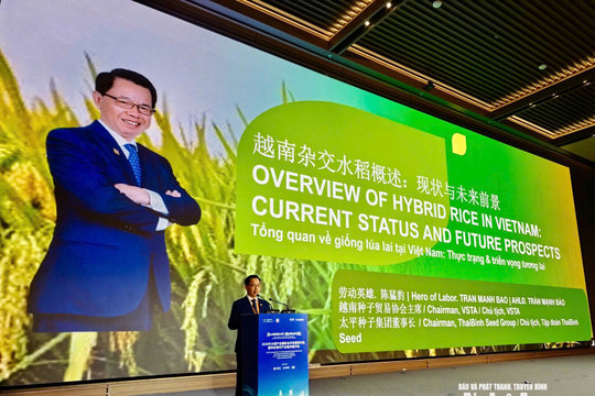 Tư duy giá trị và hành trình tự chủ hạt giống lúa lai Việt Nam tại Diễn đàn quốc tế 2026