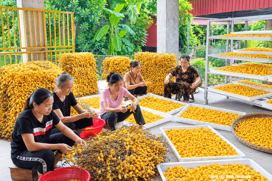 Hội Nông dân tỉnh hỗ trợ hội viên tự chủ sản xuất