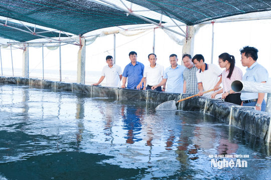 Vai trò cấp ủy trong tăng trưởng 2 con số
