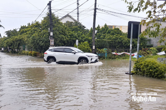 Mưa to gây ngập lụt tại khu vực phía Bắc tỉnh Nghệ An