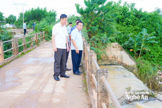 Phó Chủ tịch UBND tỉnh Nguyễn Văn Đệ kiểm tra công tác khắc phục hậu quả mưa lớn và tình hình sản xuất nông nghiệp
