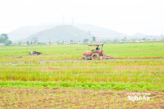 Khẩn trương khôi phục sản xuất sau mưa lũ