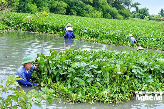 Thời tiết Nghệ An ngày 21/9: Trời nắng, có mưa rào và dông vài nơi