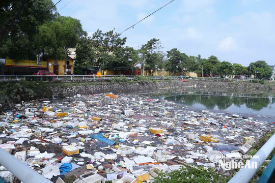 Hào Thành Vinh ngập ngụa rác sau trận mưa lịch sử
