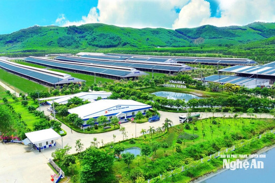 50 năm xây dựng thương hiệu Vinamilk: Hành trình không ngừng nâng chuẩn