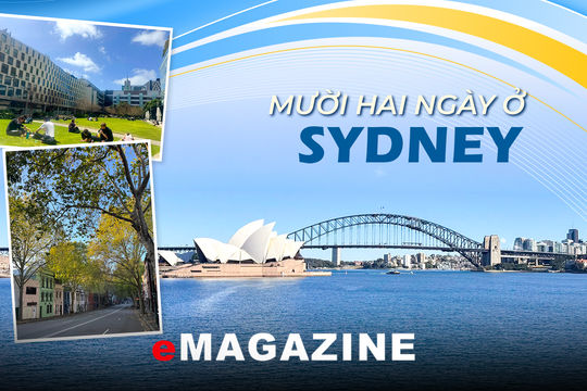 Mười hai ngày ở Sydney - Kỳ 1: Nơi mùa Xuân đến sớm