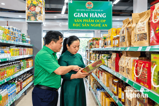 Nghệ An bồi dưỡng nhân lực dẫn dắt kinh tế nông nghiệp
