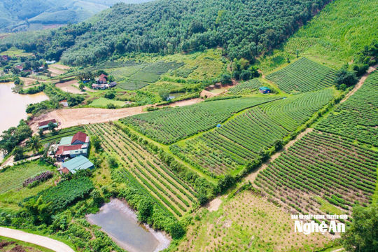 Thời tiết Nghệ An ngày 29/9: Ngày trời nắng, chiều và đêm có mưa rào và dông rải rác