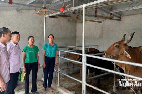 Nguồn vốn chính sách - đòn bẩy để nông dân vươn lên