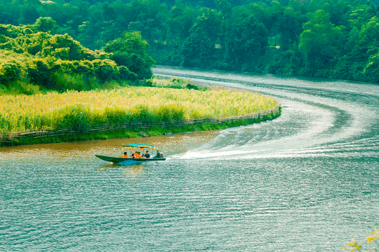 Chùm thơ của người Nghệ xa quê