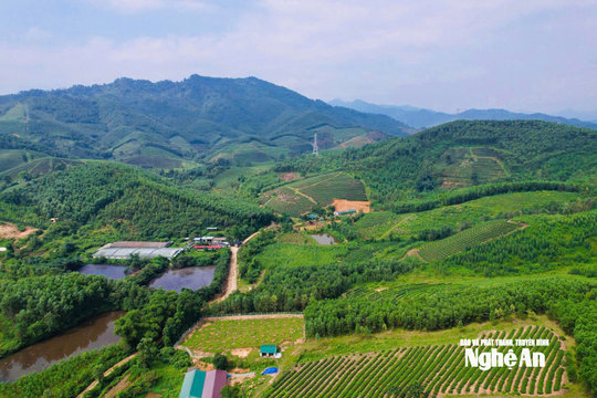 Thời tiết Nghệ An ngày 3/10: Nhiều mây, có mưa rào và dông