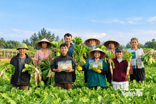 Nghệ An sôi động những phiên “chợ số”