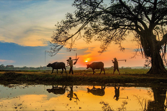 Chùm thơ Trần Chấn Uy