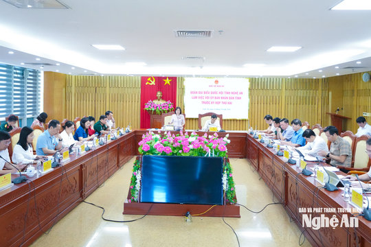 Nghệ An kiến nghị Quốc hội, Chính phủ tháo gỡ nhiều vướng mắc trong thực thi chính sách, pháp luật
