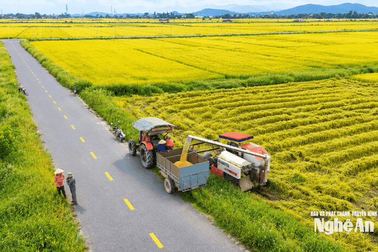 Nông thôn Việt Nam: Đổi mới để thích ứng, phát triển bền vững
