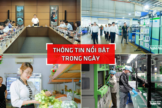 Nghệ An: Thông tin nổi bật ngày 24/10
