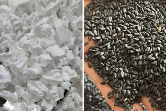 Sắn dây kết hợp mè đen - bộ đôi dưỡng thận, khỏe xương