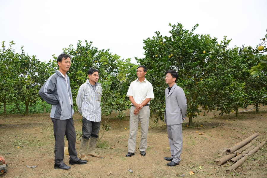 Vai trò tổ chức Đảng ở thôn vùng cao