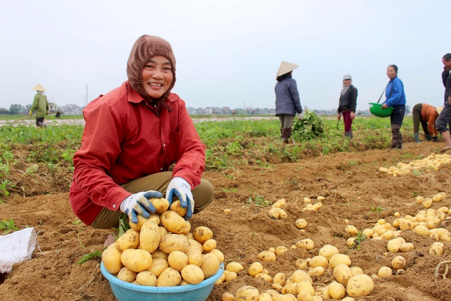 Thêm nhiều mô hình mới trong Nông thôn mới