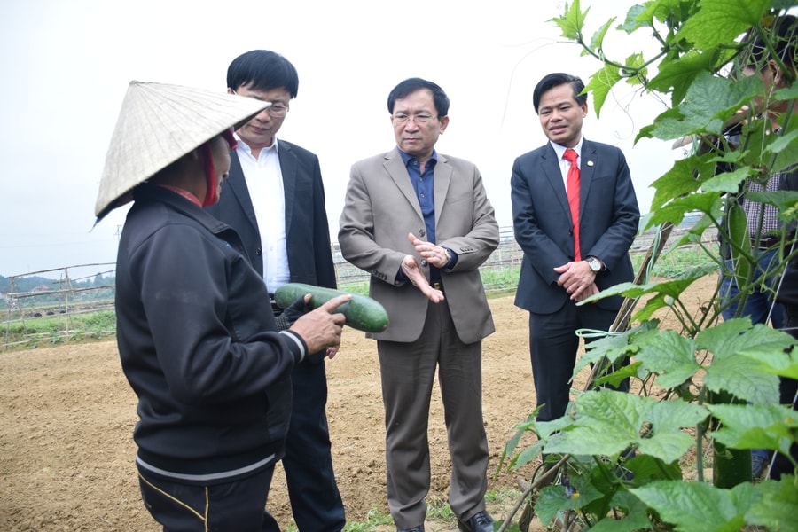 Xuân vui trên vùng quê nông thôn mới