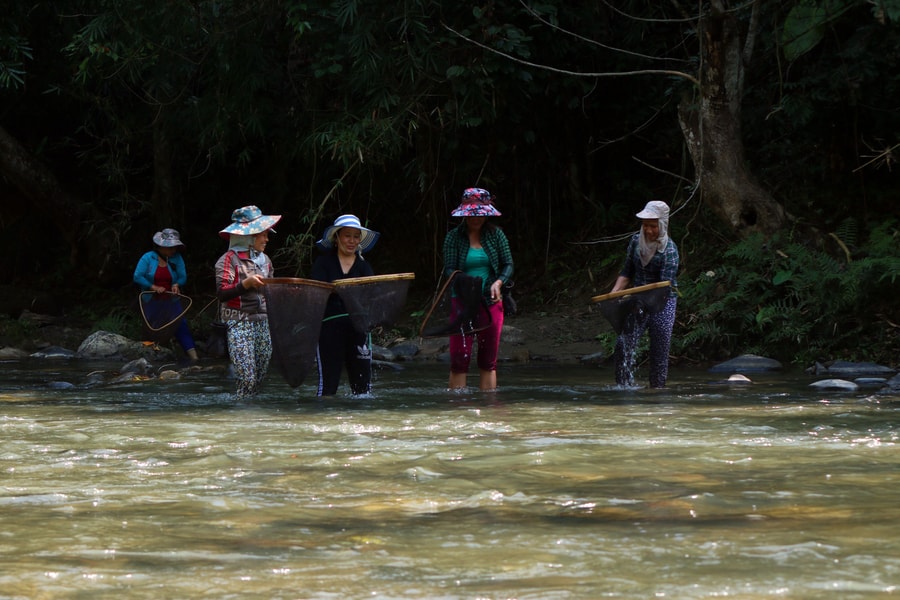 “Độc, dị” nghề săn nòng nọc ở vùng cao Nghệ An