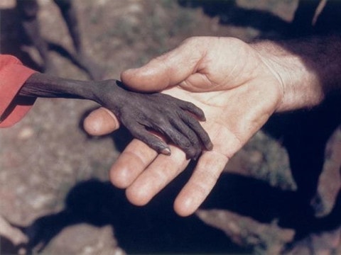 9 bức ảnh lay động trái tim hàng triệu người trên thế giới