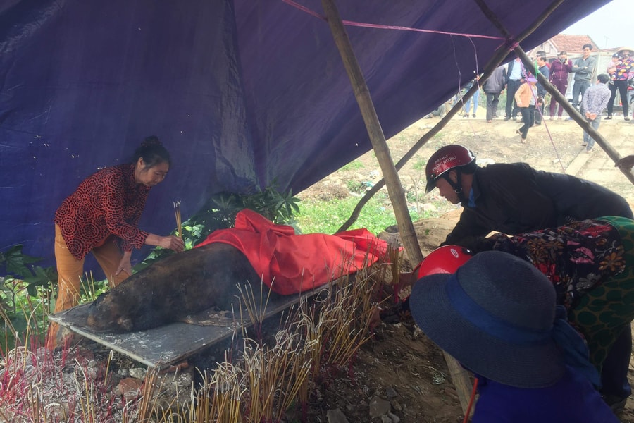  Cá ông nặng khoảng 40kg dạt vào cửa sông ở Nghệ An