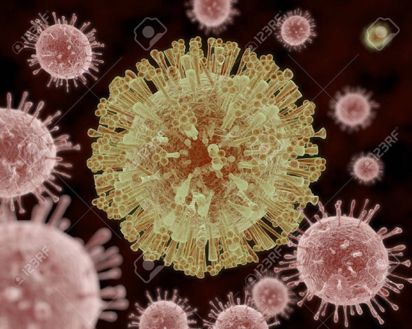 Virus Zika có thể giúp cứu sống bệnh nhi u não