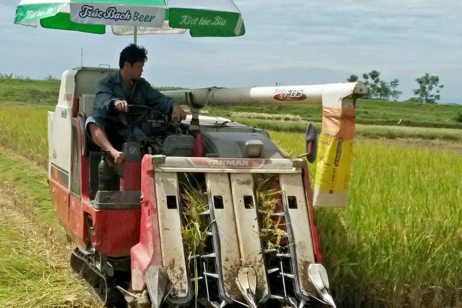 Nông dân Thanh Chương huy động cơ giới 'khủng' chạy đua vụ gặt