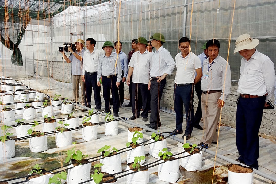 Phó Chủ tịch UBND tỉnh Đinh Viết Hồng kiểm tra tiến độ nông thôn mới ở Yên Thành