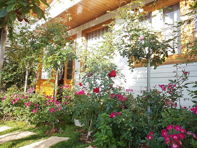 Gia đình gốc Nghệ sống trong nhà gỗ giữa vườn hồng 1.000 m2           