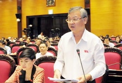 Ông Hồ Văn Năm làm Trưởng đoàn ĐBQH Đồng Nai thay bà Phan Thị Mỹ Thanh