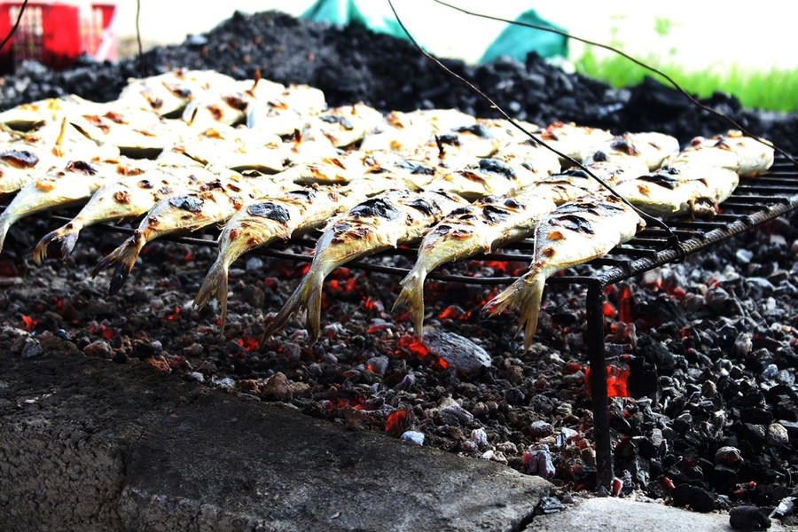 Nhộn nhịp nghề nướng cá ở biển Quỳnh