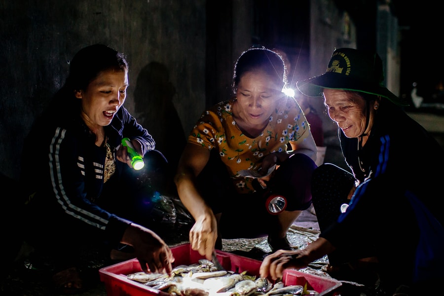 Lao xao chợ cá đêm làng biển