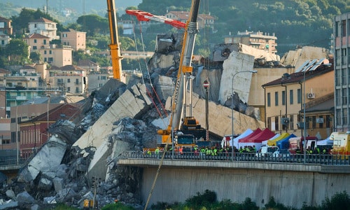 Italy triển khai chó nghiệp vụ tìm người sống sót trong vụ sập cầu