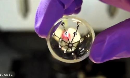 Mắt nhân tạo có thể giúp người khiếm thị nhìn trong tương lai