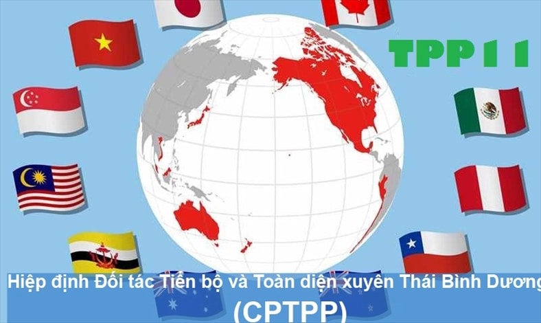 CPTPP ấn định thời điểm hiệu lực: Bước ngoặt lớn với Vành đai Thái Bình Dương