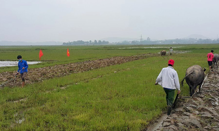 Thanh niên chung tay cày ruộng giúp đỡ gia đình hoàn cảnh khó khăn