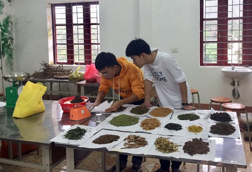 Cậu bé người Thái với ý tưởng khôi phục nghề chế biến men lá từ cây rừng