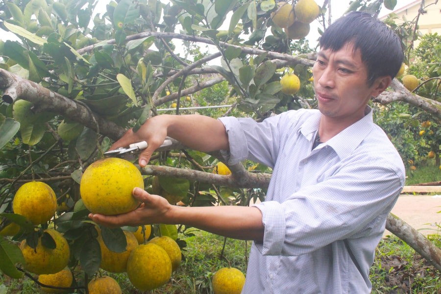 Thủ tướng Nguyễn Xuân Phúc: Tăng cường sản xuất nông nghiệp sạch 