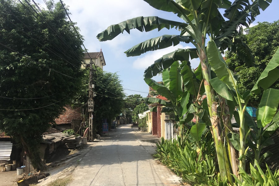 Bất cập trong quản lý tuyến đê Tả Lam đoạn qua huyện Đô Lương