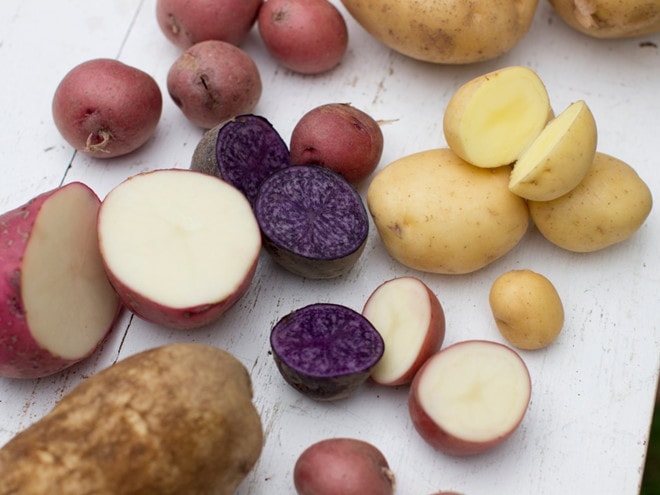 8 thực phẩm phổ biến trong ngày Tết có thể gây ngộ độc